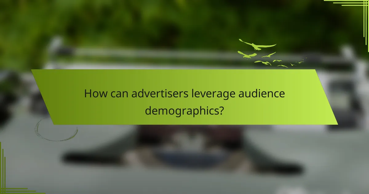 How can advertisers leverage audience demographics?