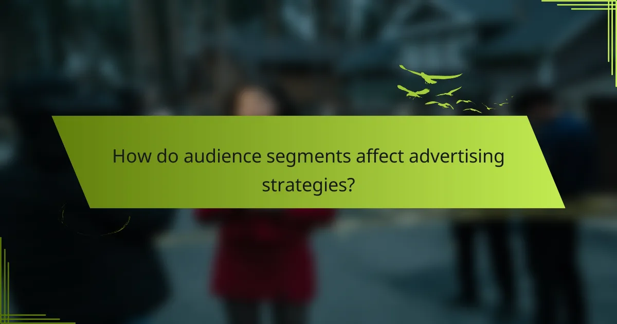 How do audience segments affect advertising strategies?
