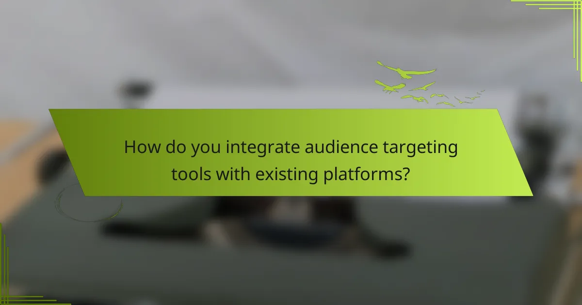 How do you integrate audience targeting tools with existing platforms?